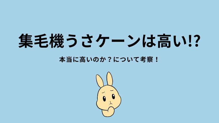 集毛機うさケーンは高い!?本当に高いのか?について紹介