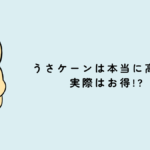 うさケーンは本当に高い？実際はお得!?