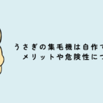 うさぎの集毛機は自作で十分？メリットや危険性について