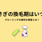 うさぎの換毛期はいつ？適切なグルーミングの頻度とは？