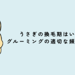 うさぎの換毛期はいつ？グルーミングの適切な頻度とは？