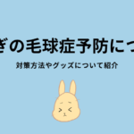 うさぎの毛球症予防について。対策方法やグッズを紹介