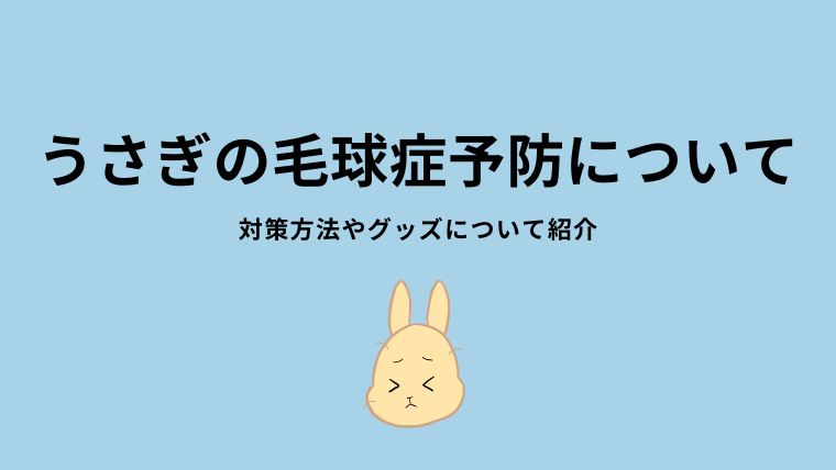 うさぎの毛球症予防について。対策方法やグッズを紹介