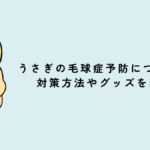 うさぎの毛球症予防について。対策方法やグッズを紹介