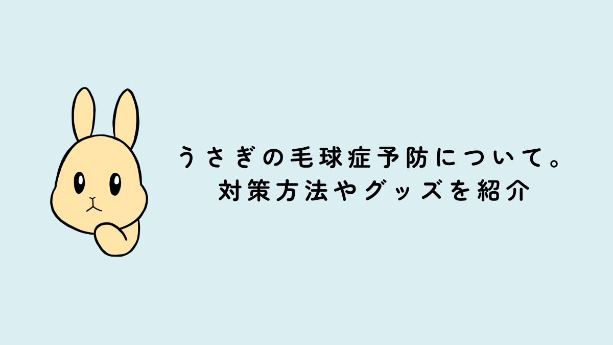うさぎの毛球症予防について。対策方法やグッズを紹介