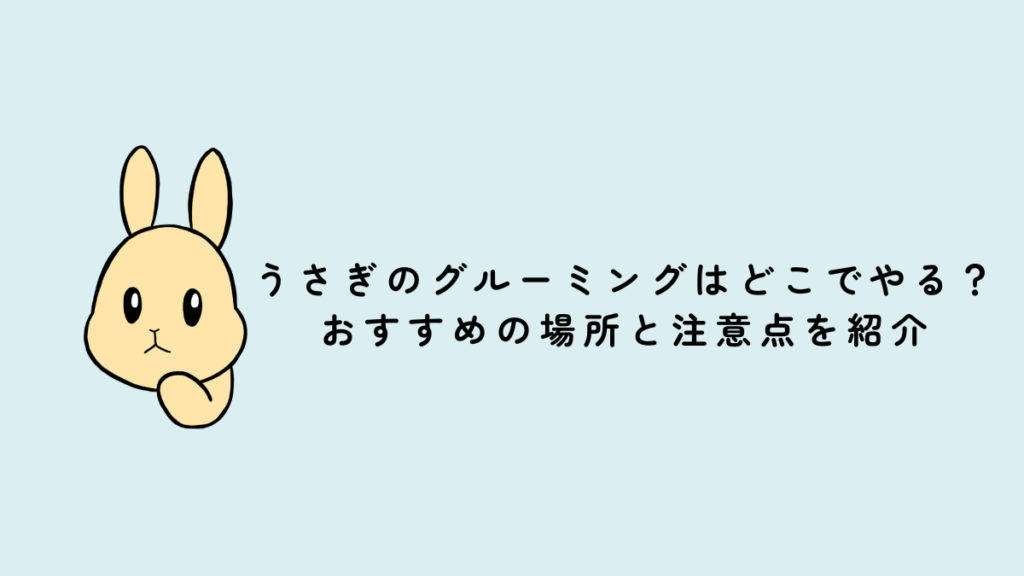 うさぎのグルーミングはどこでやる？おすすめの場所と注意点を紹介