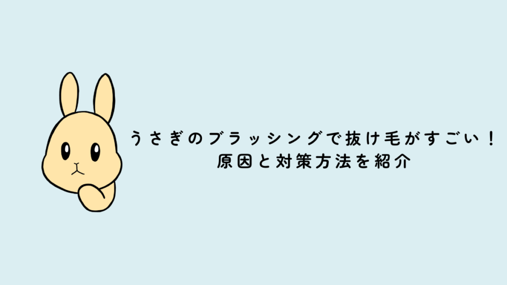うさぎのブラッシングで抜け毛がすごい！原因と対策方法を紹介