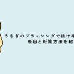 うさぎのブラッシングで抜け毛がすごい！原因と対策方法を紹介