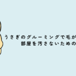 うさぎのグルーミングで毛が飛び散る！ 部屋を汚さないための対策