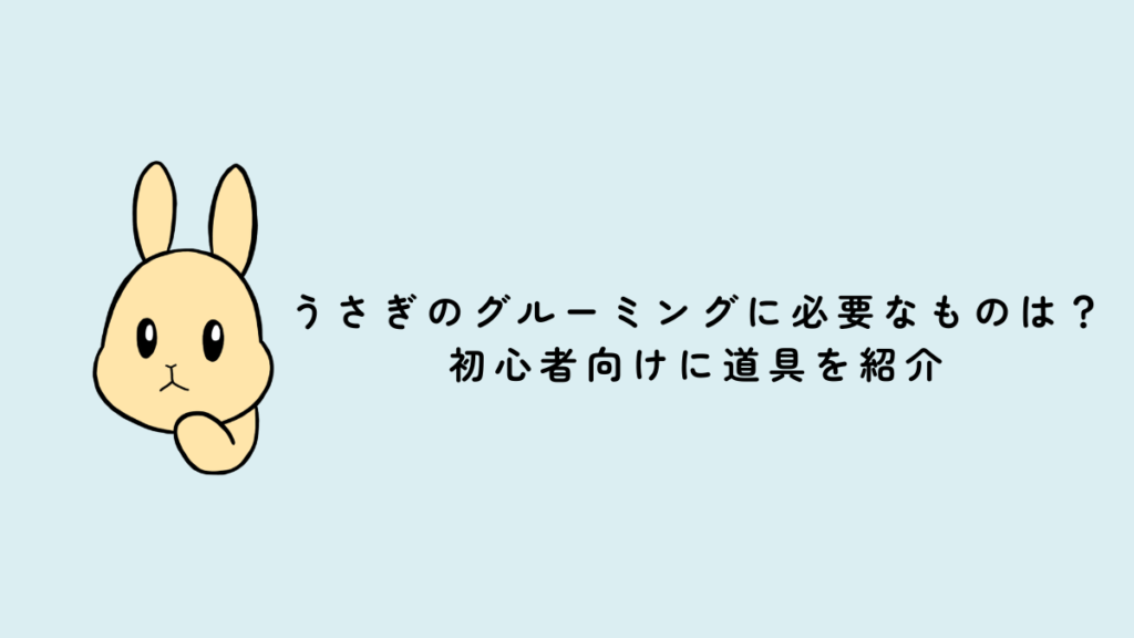 うさぎのグルーミングに必要なものは？初心者向けに道具を紹介