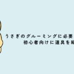 うさぎのグルーミングに必要なものは？初心者向けに道具を紹介